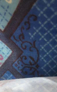 موکت