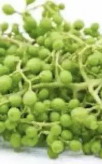 غوره پنج شیش کیلو