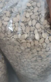 تخمه هندونه درجه یک