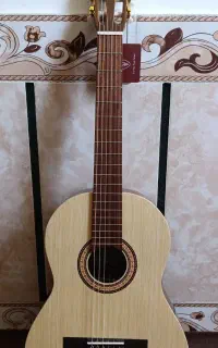 گیتار پیک تونز