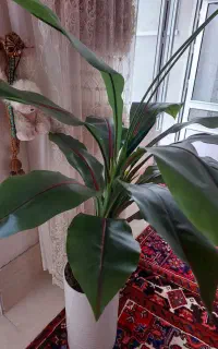 گل مصنوعی خارجی نو