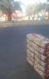 انبه به قیمت عمده