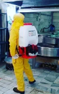 شرکت سم پاشی موریانه زدایی سمپاشی سوسک ساس گال موش