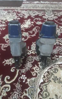 میخکوب(پالت زن)