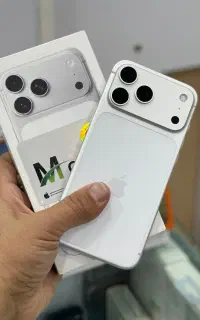17 PRO MAX