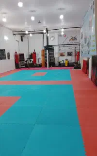 باشگاه رزمی ورزشی رشته کیو کوشین کاراته