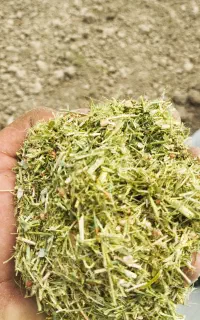 خارشتر درجه 1.کاه ریزکوب سفید دست اول
