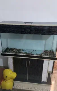 اکواریم 1متری