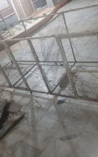 قفس