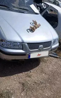 سمند تصادفی