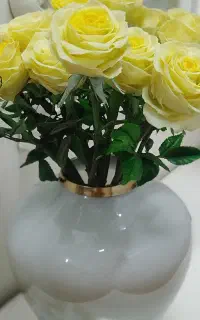 گل های جاودان بدون پژمردگی