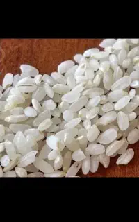 برنج گرده