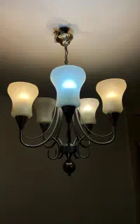 لوستر
