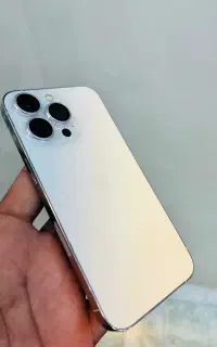 13pro