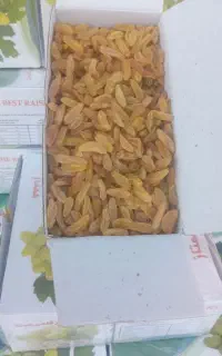 کشمش درجه ۱ کاشمر