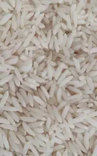 برنج هاشمی درجه یک