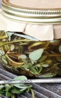 سبزواریها این اگهی رو از دست ندین