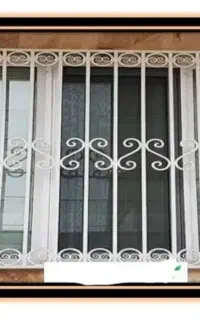 حفاظ پنجره/کولر/پمپ/شاخ گوزنی/سایبان