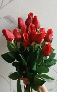 گل رز قرمز
