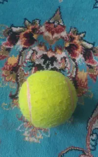 توپ