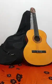 گیتار اصل در حد