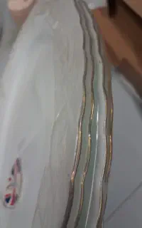 دیس چینی