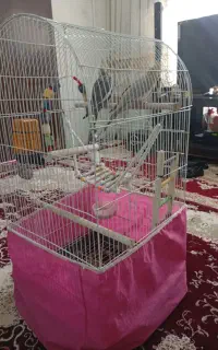 خریدوفروش
