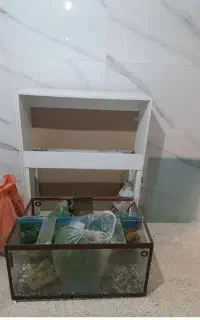اکواریوم
