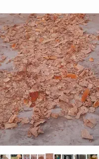 نان خشک
