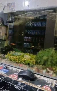 اکواریوم ۸۰*۵۰