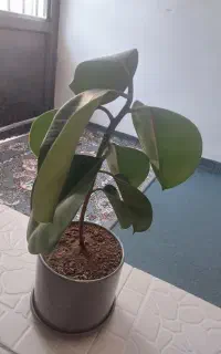 وسایل منزل