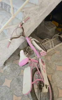 دوچرخه دخترونه