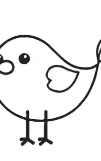 یک پرنده پیدا شده
