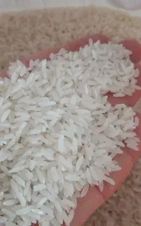 فروش انواع برنج و حبوبات و ادویه با بهترین کیفیت