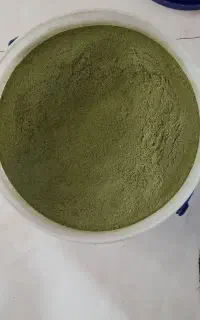 آویشن (کهلک اوتو) درجه یک