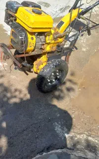 کلتواتر کار در کوجه باخ چغندر