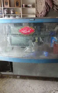 یخچال مخصوص جیگرکی