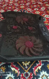 فن لبتاب