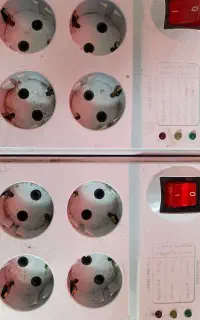 محافظ برقی