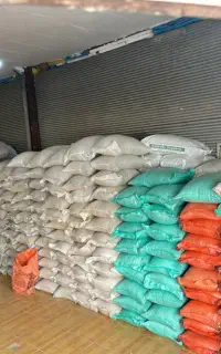 فروش و پخش دان مرغ و بوقلمون گوشتی (پیک رایگان)
