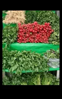 نیازمندیک نفرجهت پاک کردن سبزی در چقامیرزا 2 ، سما