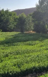 گروه گردشگران تمدن