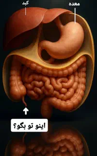 معلم
