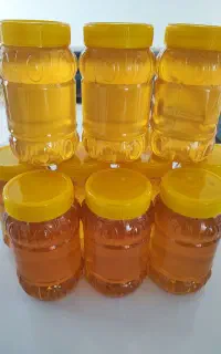 عسل طبیعی بهاره (عسل کنار)
