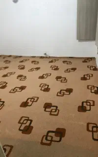موکت