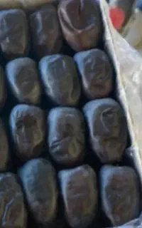 معجون کویر