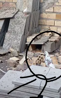 کبوتر