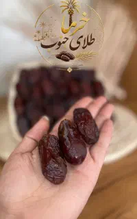 خرمامستقیم از بندرعباس
