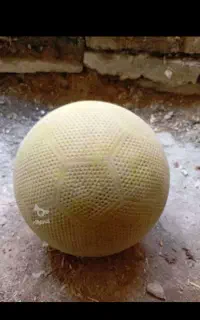 توپ های تنوع دار