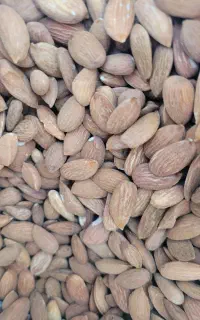 مغز بادام ایرانی ترد و خوشمزه و پرخاصیت